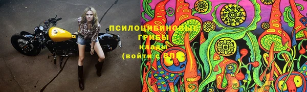 мдпв Арсеньев