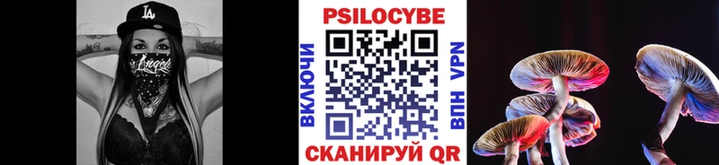 Псилоцибиновые грибы Magic Shrooms  Аркадак 